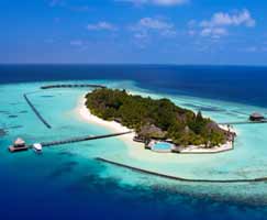 Maldives Honeymoon